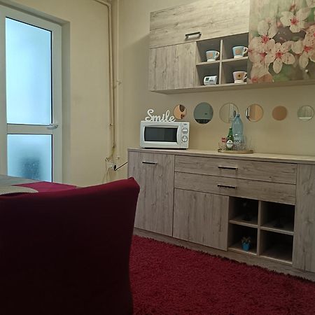 BacăuNew 33アパートメント エクステリア 写真